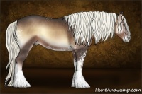 Horse Color:White Spotted Liver Red Onyx Sabino 