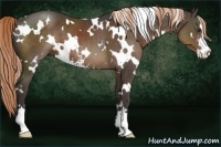 Horse Color:White Spotted Liver Chestnut Sabino
