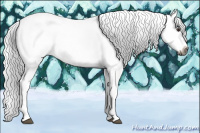 Horse Color:Gray Chestnut Splash Tobiano 
