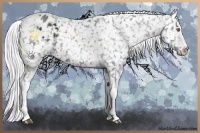 Horse Color:White Spotted Silver Black Chinchilla Snowflake Varnish 