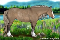 Horse Color:Liver Red Dun Sabino Rabicano