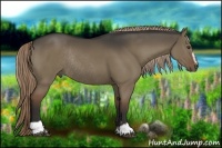 Horse Color:Liver Red Dun Sabino Rabicano