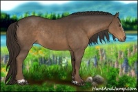 Horse Color:Liver Chestnut Sabino Rabicano