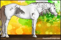 Horse Color:White Spotted Liver Chestnut Ice Tobiano 
