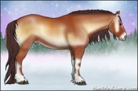 Horse Color:Chocolate Bay Onyx 