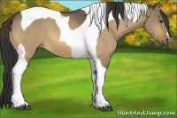 Horse Color:Buckskin Dun Tobiano