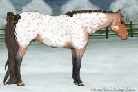 Horse Color:Bay Roan Near Leopard 