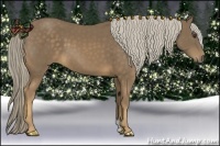 Horse Color:Chocolate Palomino 