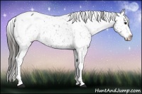 Horse Color:White Spotted Blue Roan Snowflake Varnish