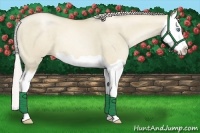 Horse Color:Chocolate Palomino Pearl Dun Splash 