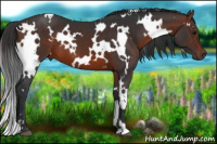 Horse Color:White Spotted Brown 
