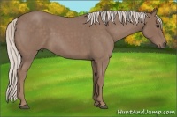 Horse Color:Chocolate Silver Smoky Blue Roan
