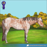 Horse Color:Cremello Dun  and Chocolate Bay Ice 