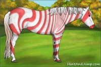 Horse Color:Buckskin Appaloosa
