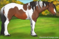 Horse Color:Bay Tobiano 