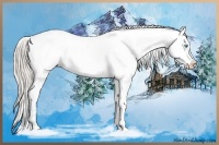 Horse Color:Chocolate Palomino Pearl Appaloosa