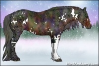 Horse Color:Nacre White Spotted Brown Ice