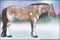 Horse Color:Nacre White Spotted Brown Ice