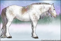 Horse Color:Nacre White Spotted Brown Ice Rabicano 