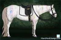 Horse Color:Chocolate Palomino Ice Pearl 