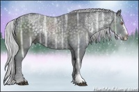 Horse Color:Silver Black Chinchilla Ice Sabino