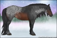 Horse Color:Brown Sabino Rabicano 