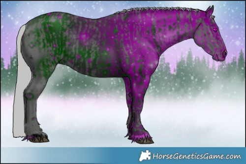 Horse Color:ERROR: UNKNOWN ANOMALY and ERROR: UNKNOWN ANOMALY