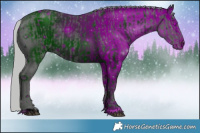 Horse Color:ERROR: UNKNOWN ANOMALY and ERROR: UNKNOWN ANOMALY