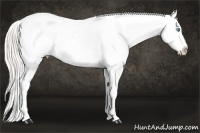 Horse Color:White Spotted Silver Buckskin Pearl Blanket Rabicano 