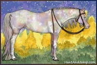 Horse Color:Nacre White Spotted Chocolate Palomino Pearl Sabino