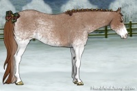 Horse Color:White Spotted Red Roan 