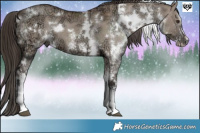 Horse Color:White Spotted Liver Red Dun Ice 
