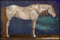 Horse Color:White Spotted Liver Chestnut Ice Pearl Sabino