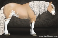 Horse Color:Silver Brown Pearl Sabino 