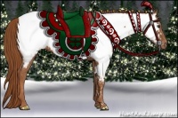 Horse Color:Chestnut Appaloosa 