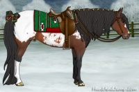 Horse Color:Bay Snowcap 