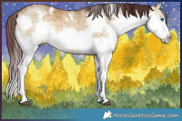 Horse Color:White Spotted Chocolate Buckskin Dun Splash 
