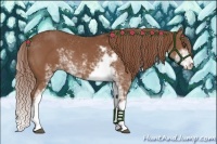 Horse Color:Chestnut Sabino