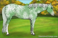 Horse Color:Watercolor White Spotted Liver Chestnut Ice Sabino Rabicano