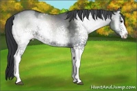 Horse Color:White Spotted Blue Onyx Chinchilla Ice