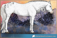 Horse Color:Liver Chestnut Mushroom Appaloosa  and Liver Chestnut Mushroom Frame Appaloosa 