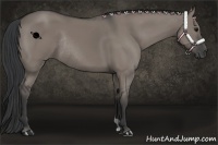 Horse Color:Grullo Rabicano 