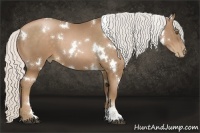 Horse Color:White Spotted Silver Brown Pearl Sabino 
