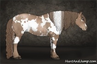 Horse Color:White Spotted Black Pearl Rabicano 