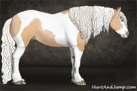 Horse Color:Silver Brown Pearl Sabino Splash Tobiano Rabicano 