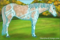Horse Color:Thunderstruck Palomino Ice