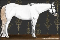 Horse Color:Gold Champagne Near Leopard 