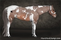 Horse Color:White Spotted Bay Tobiano Blanket 