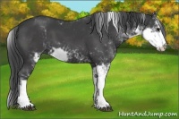Horse Color:Black Sabino 