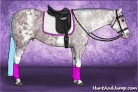 Horse Color:Watercolor White Spotted Bay Ice Dun 